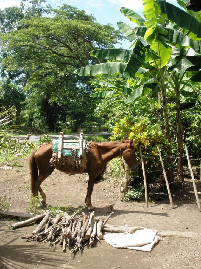 B&B, Family Run Homestay, Hospedaje La Penita Altagracia Exterior foto